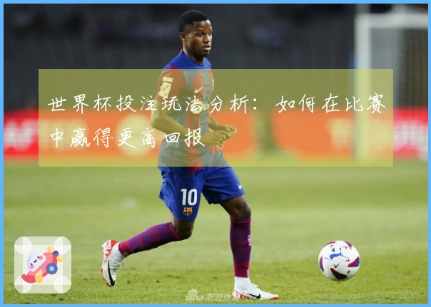 世界杯投注玩法分析：如何在比赛中赢得更高回报