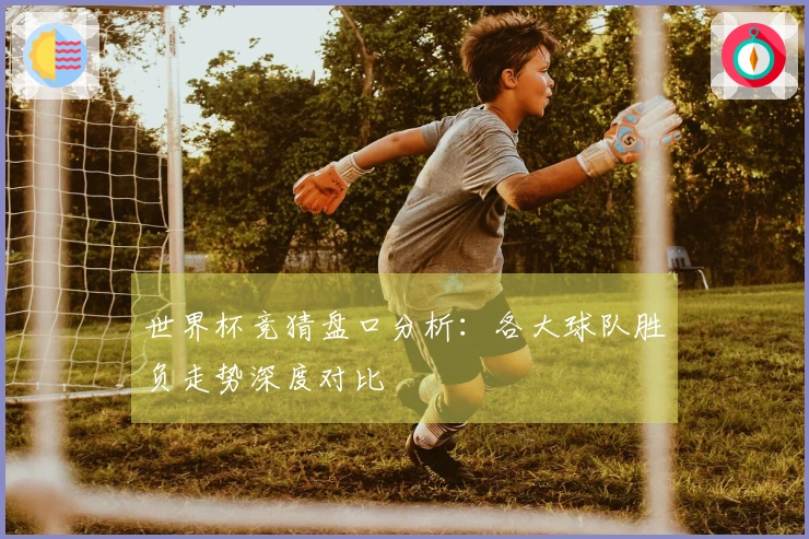 世界杯竞猜盘口分析：各大球队胜负走势深度对比
