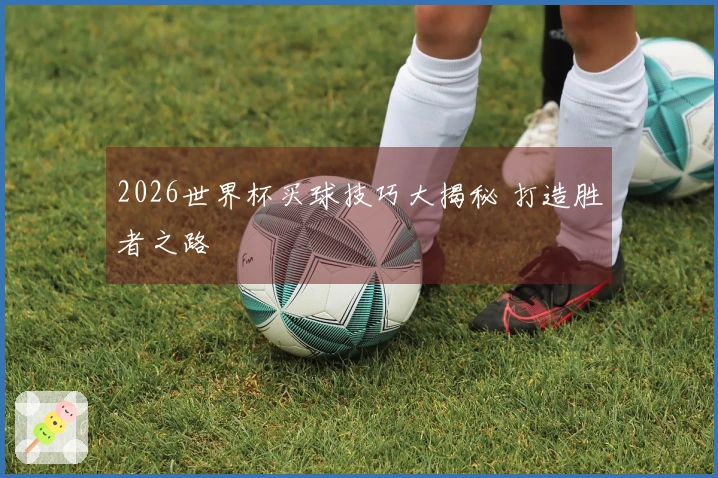 2026世界杯买球技巧大揭秘 打造胜者之路
