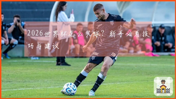2026世界杯怎么买球？新手必看技巧与建议
