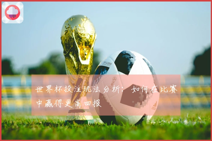 世界杯投注玩法分析：如何在比赛中赢得更高回报