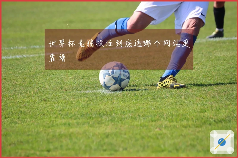 世界杯竞猜投注到底选哪个网站更靠谱